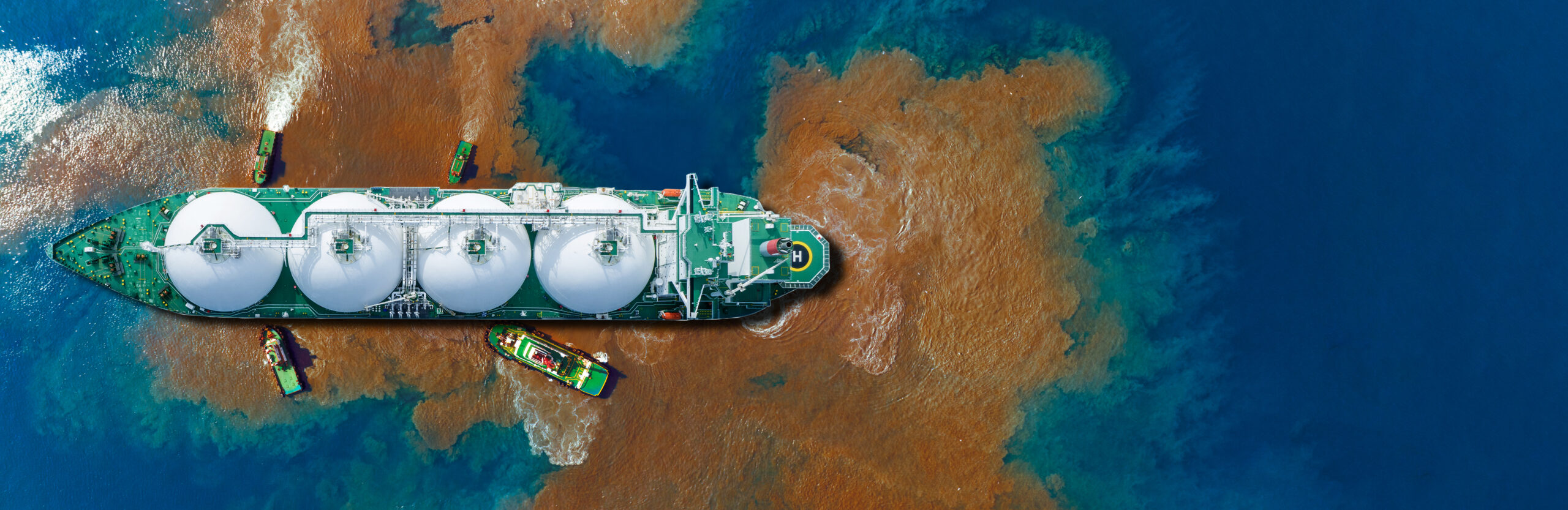Safeguarding Marine Life: Why Every Boat Must Carry SpillRemed for Prompt Oil Spill Remediation